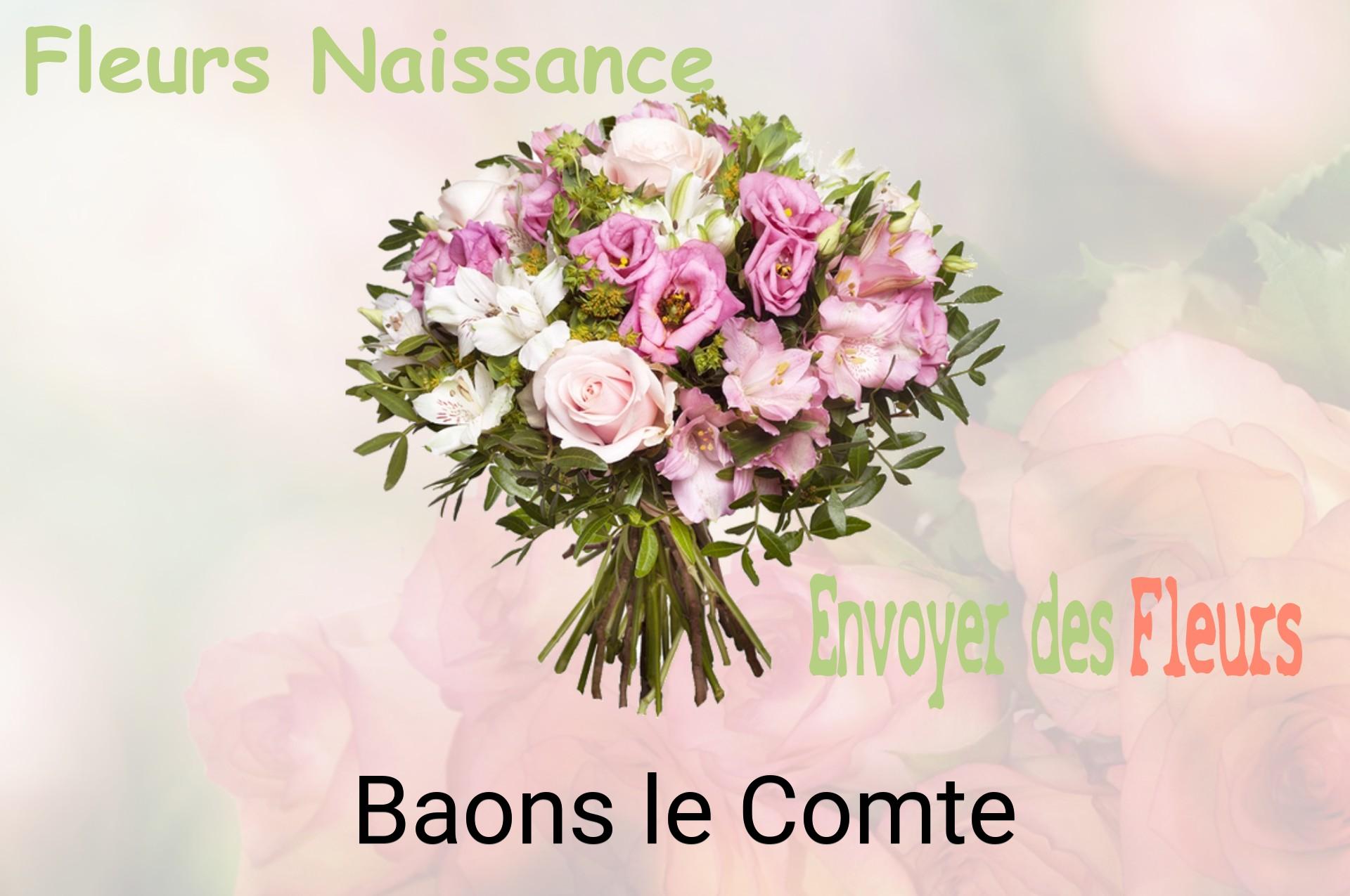 Bouquet de fleurs de naissance livré à Baons-le-Comte